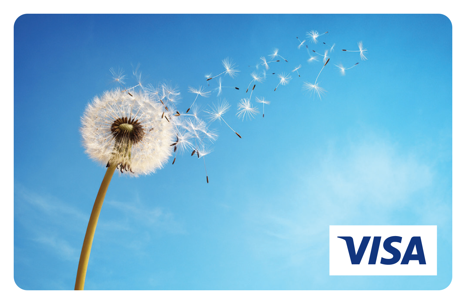 Dandelion prepaid visa card