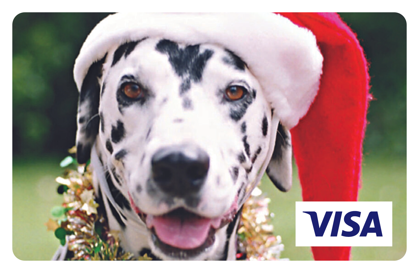 Dog Christmas Prepaid Visa Card