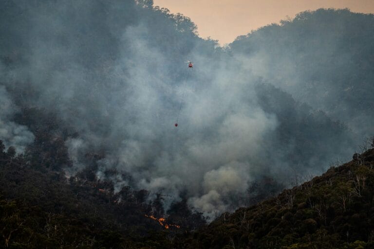 Australian Bushfires